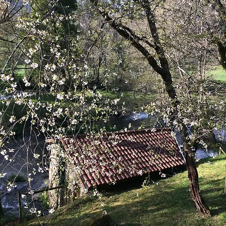 Quinta Do Rio Homem Prázdninový dům