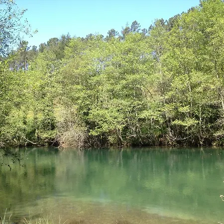 Quinta Do Rio Homem Σπίτι διακοπών