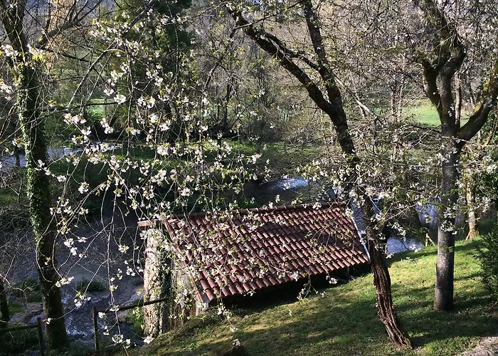 Quinta Do Rio Homem Casa de Férias