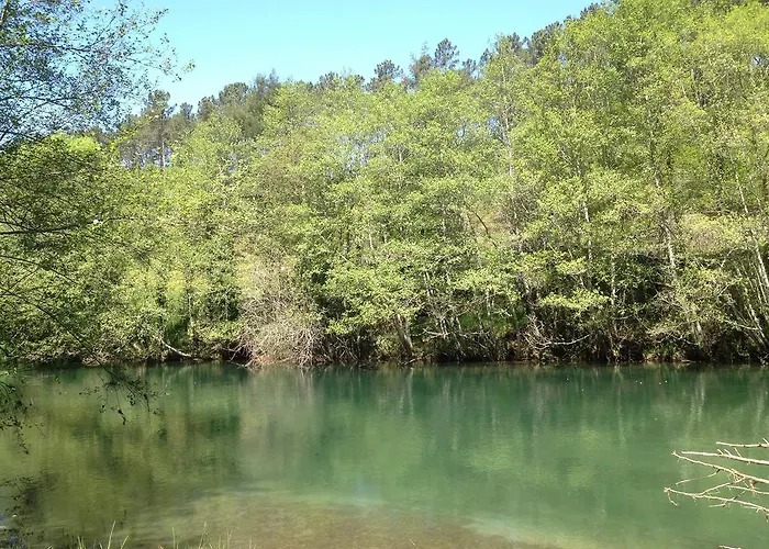 Quinta Do Rio Homem Hébergement de vacances